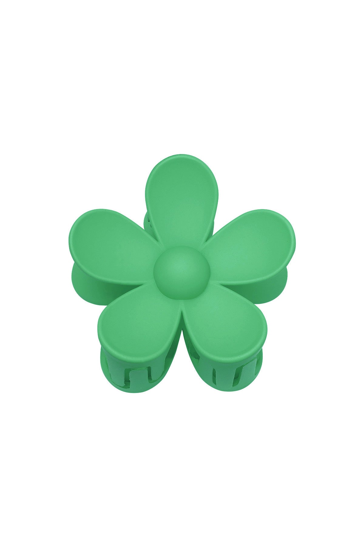 Haarklem bloem groen
