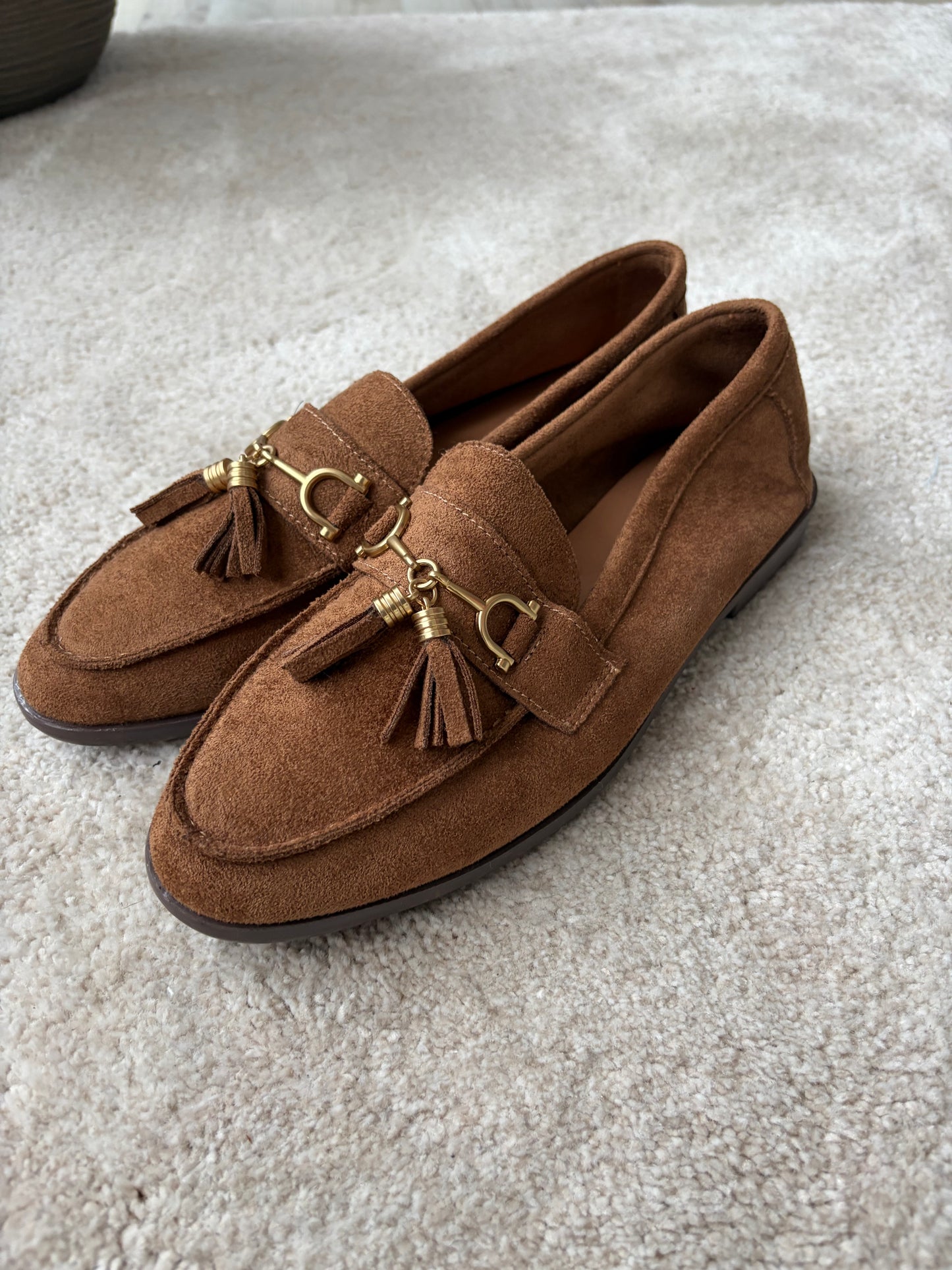 MOCCASIN BRUIN