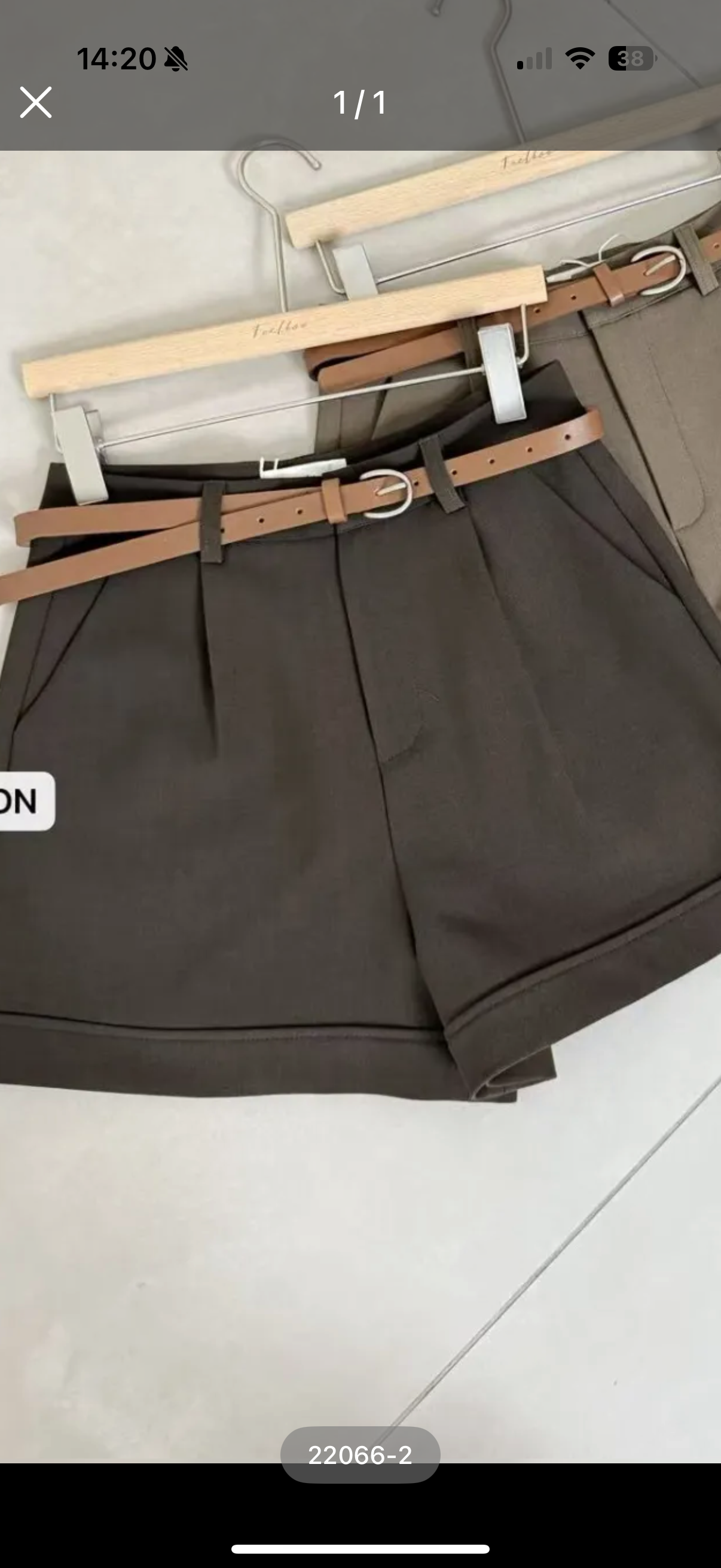 SHORT BRUIN