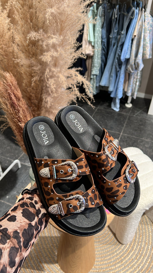 Slippers leopard