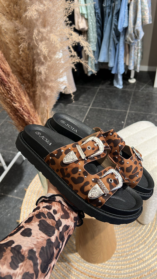 Slippers leopard