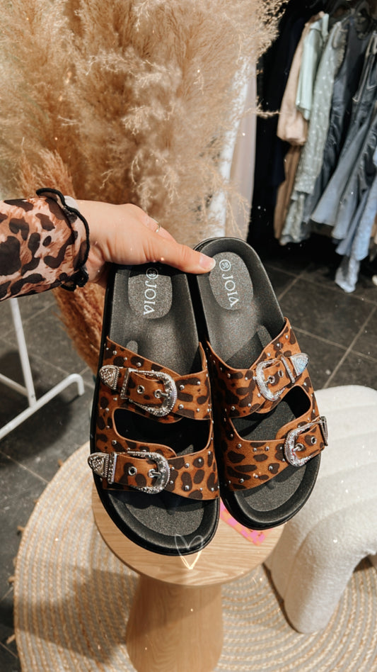Slippers leopard