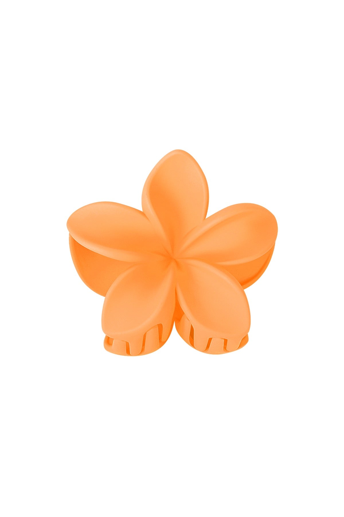 Haarklem flower oranje
