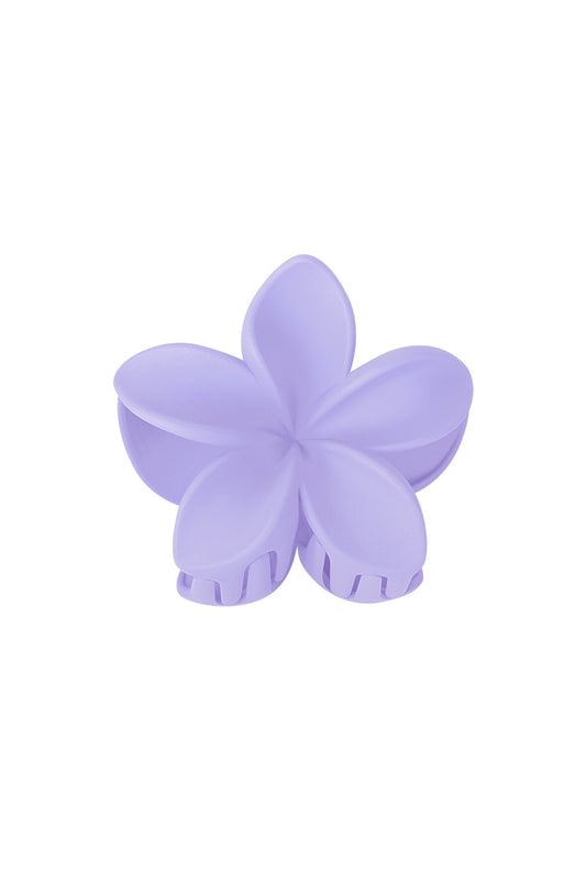 Haarklem flower lila